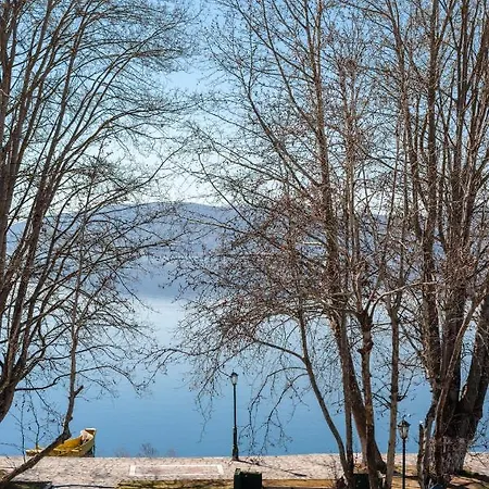 Gæstehus αρχοντικό κίτσου - Boutique Kastoria