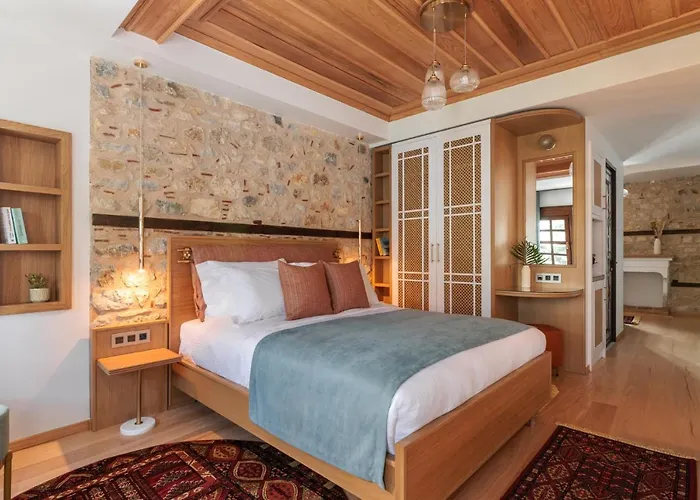 αρχοντικό κίτσου - Boutique 招待所